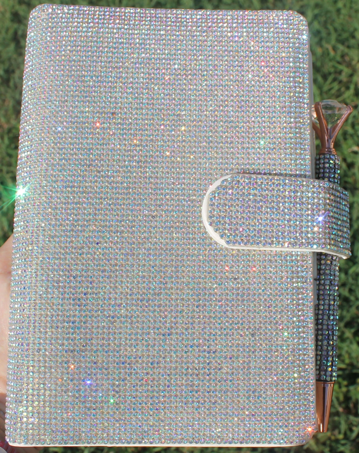 Agenda Financiera o "Budget Binder"